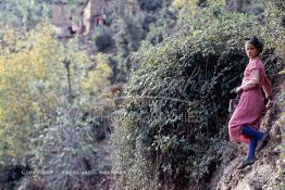 Image du Maroc Professionnelle de  Une berbère remonte la haut sur la montagne pour rejoindre son village, elle porte bidon de conserve transformé en sceau dans lequel il y a un peu de lait de chèvre récupérer chez un membre de la famille. A l'aise sur une pente presque verticale, cette jeune fille grimpe sans peine la montagne du haut Atlas non loin de vallée de l'Ourika, sur la route de l'Oukaimden, le Dimanche 21 Décembre 1986. (Photo / Abdeljalil Bounhar) 